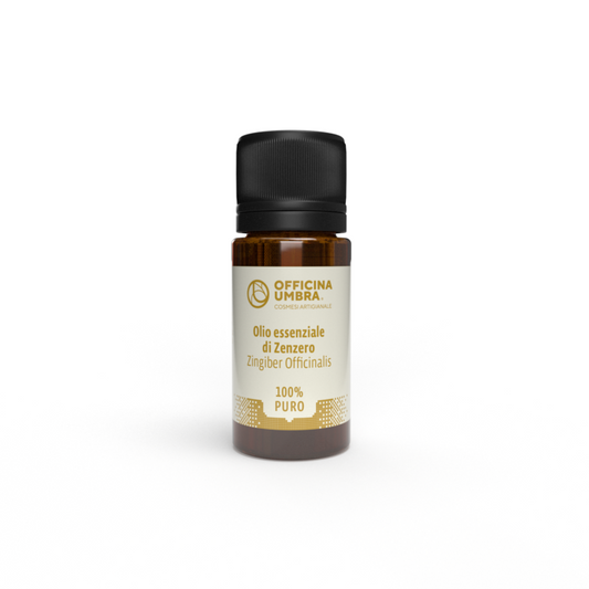 Bioteko- Ginger essential oil 10ml